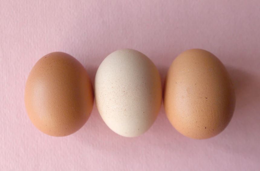 The Great Egg Debate