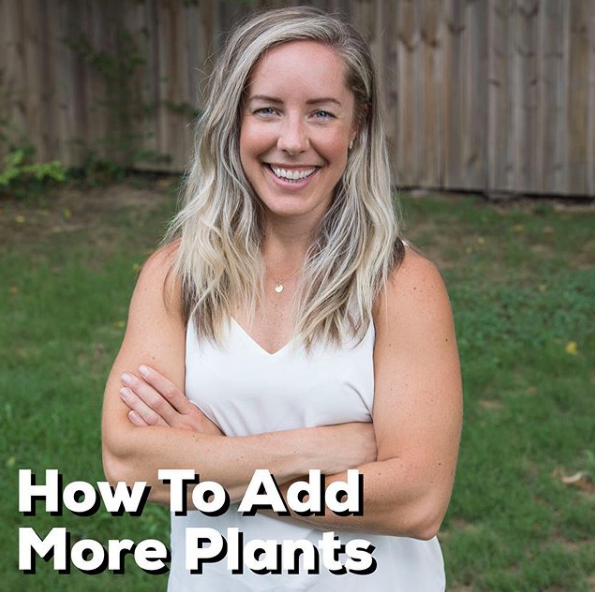 how to add more plants to your diet