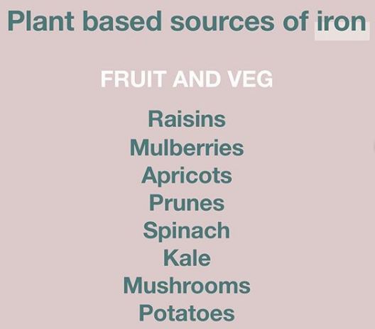 plant based sources of iron