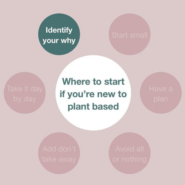 where to start if you're new to plant-based eating