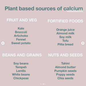 The Ultimate Plant-Based Nutrient Guide – Plant Centered Nutrition