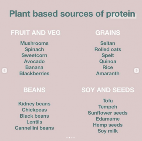 The Ultimate Plant-Based Nutrient Guide – Plant Centered Nutrition